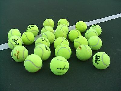 25 Used Tennis Balls ~ Dog Toy Catch Baseball~walker Table Chair Feet~free Ship!