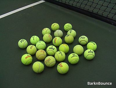 25 Used Tennis Balls - Dog Toys - Catch - Table & Chair Feet - Baseball - Walker