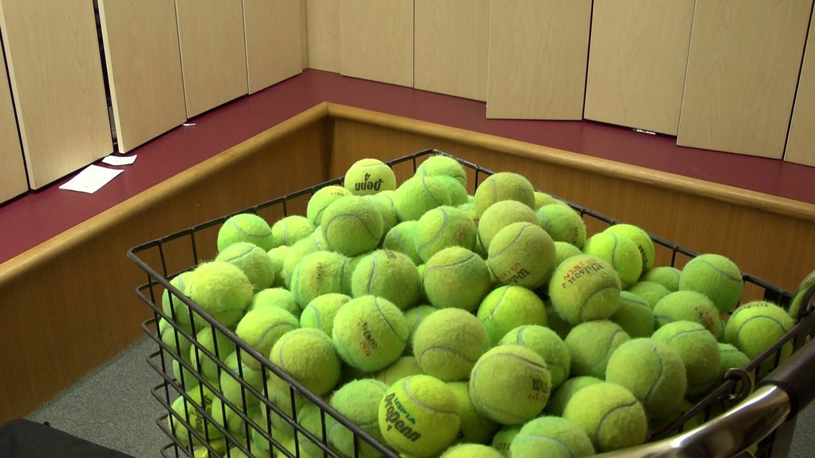 75 Mixed Tennis Balls Wilson Penn Dunlop Dog Toy Lot